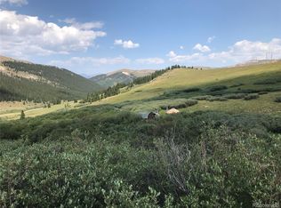 8803 County Road 7, Leadville, CO 80461