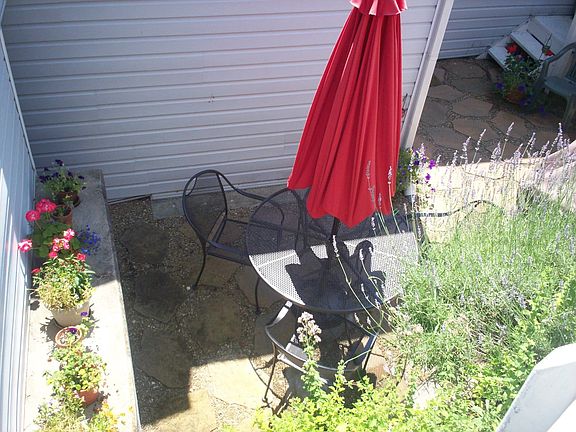 Back Patio