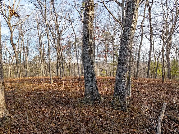 3rd image of L156&157 Harris Creek Dr