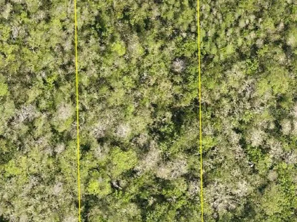 No St Lot 22, Deland, FL 32724