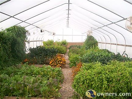 One of Two Year Around Greenhouses