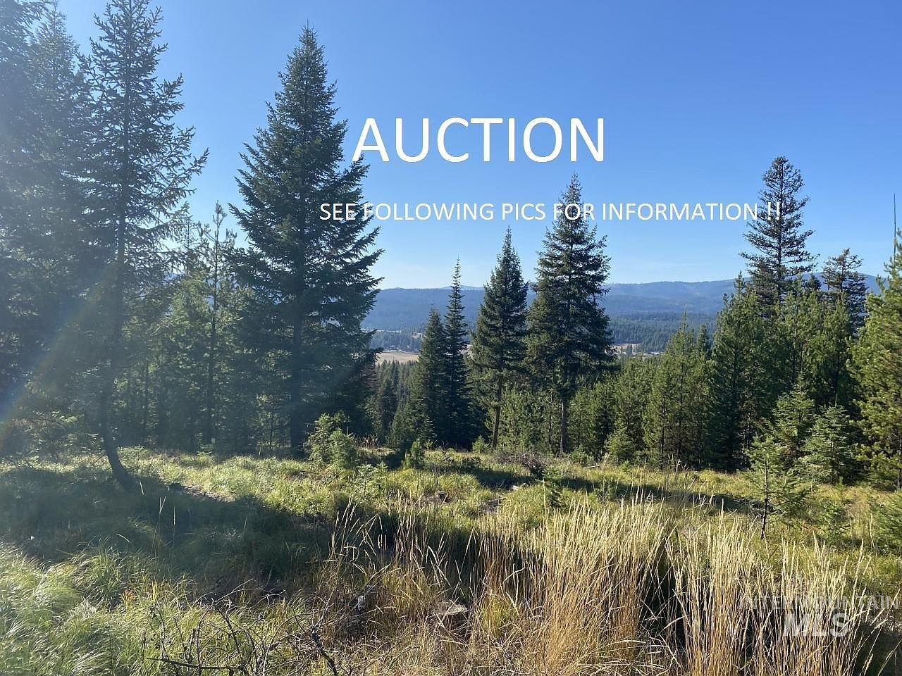 Ms2175 Cres, Elk City, ID 83525 Zillow