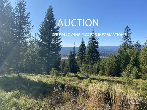 Ms2175 Cres, Elk City, ID 83525