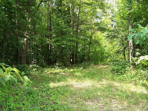 5th image of 2076 Farmsville Rd