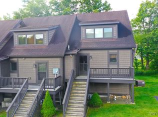 81 Woods Rd, Ellicottville, NY 14731