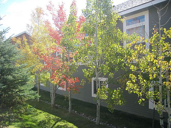 Back of house in fall