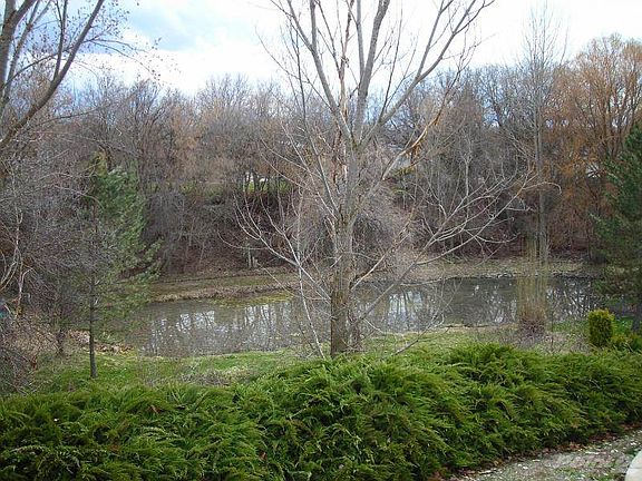 View From Existing Patio Overlooks Pond