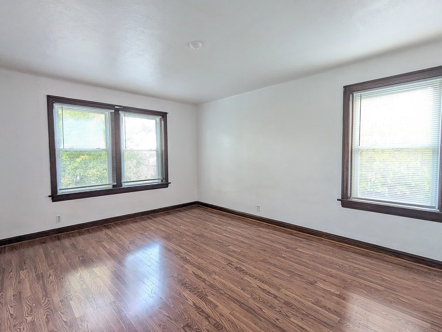 1 bed, 815 sqft, $1,150 — Photo 4