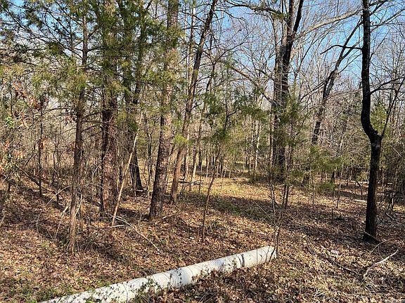 4th image of 0 Tribal Rdg