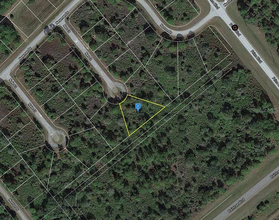 2nd image of Net Ct