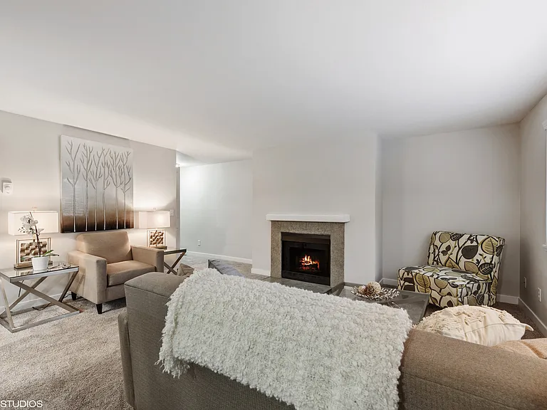 Electric Fireplace