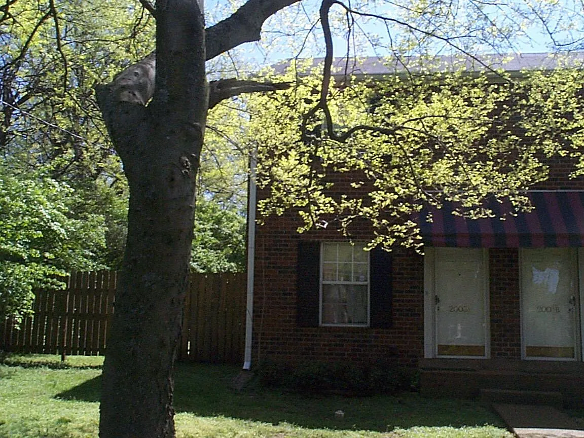 2 bed, 1.5 bath, 1100 sqft, $1,900 — Photo 2