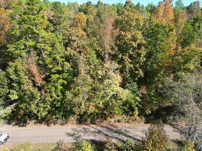 3 Cherry Chapel Loop, Savannah, TN, 38372