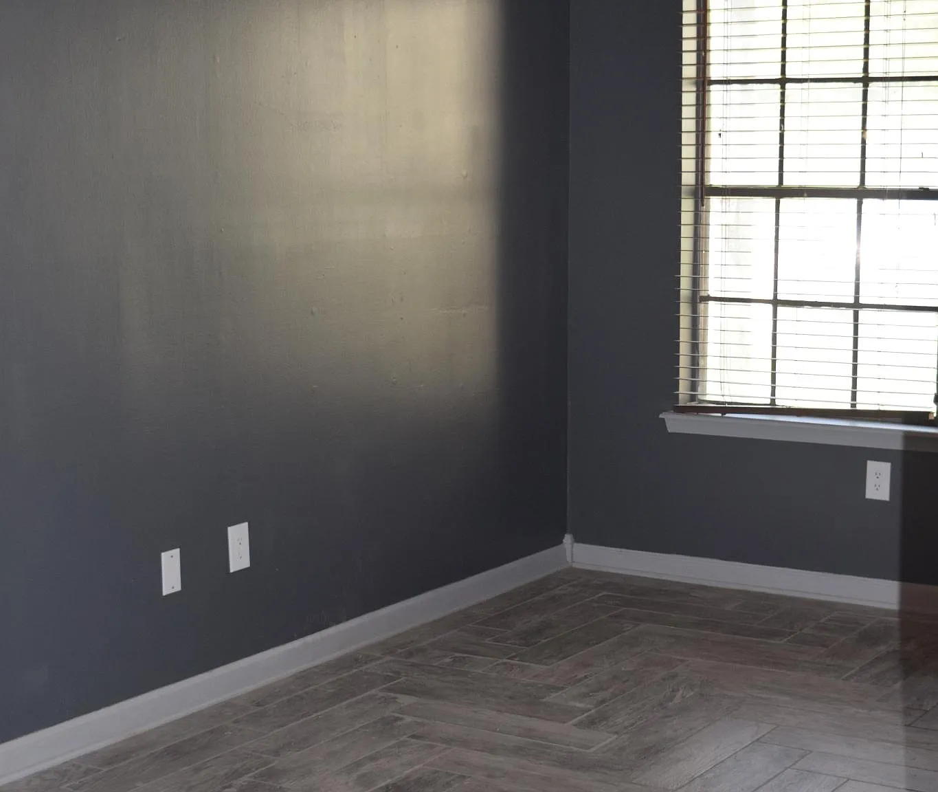 1 bed, 700 sqft, $750 — Photo 2