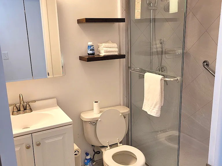 Bathroom 1 of 2. Large walk-in shower