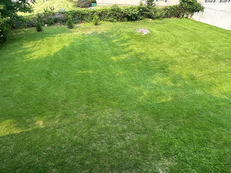 101 Sunset Dr — Photo 12