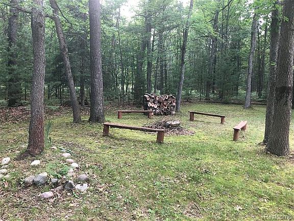 5th image of 3625 Old Pine Trl