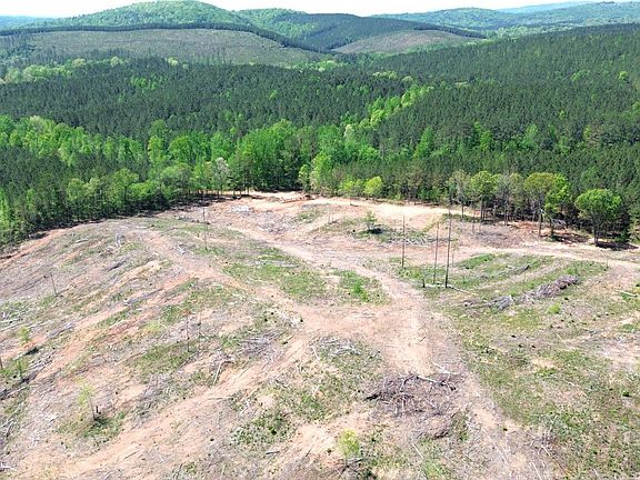 3rd image of Mines Rd #218 acres