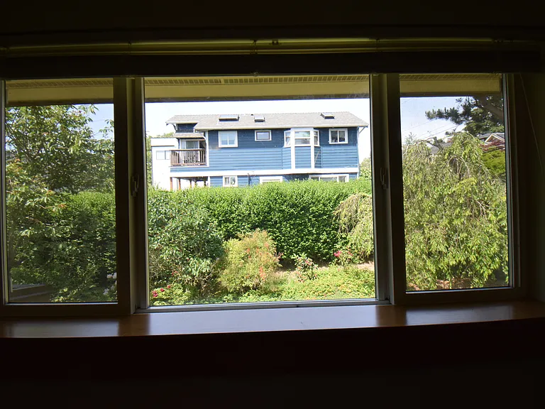 North bedroom window, looking north