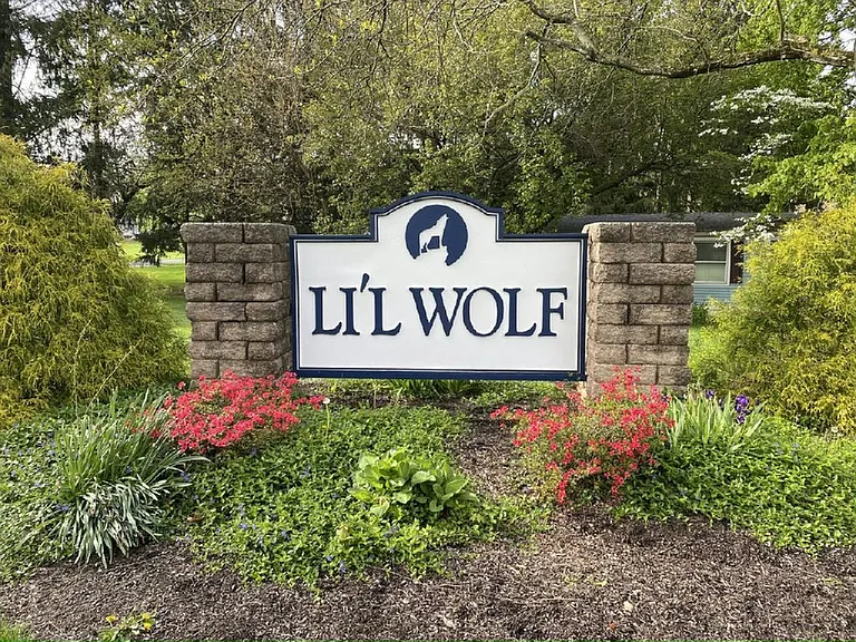 3443 Lil Wolf Dr #193 — Photo 16