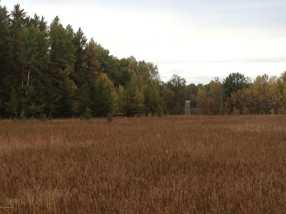 1st image of Wilderness Dr