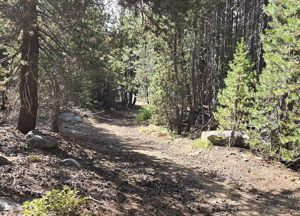 1st image of 21031 Donner Pass Rd