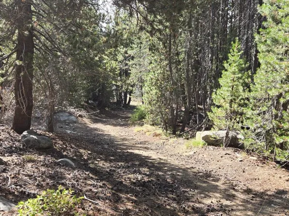 21031 Donner Pass Rd, Soda Springs, CA 95728