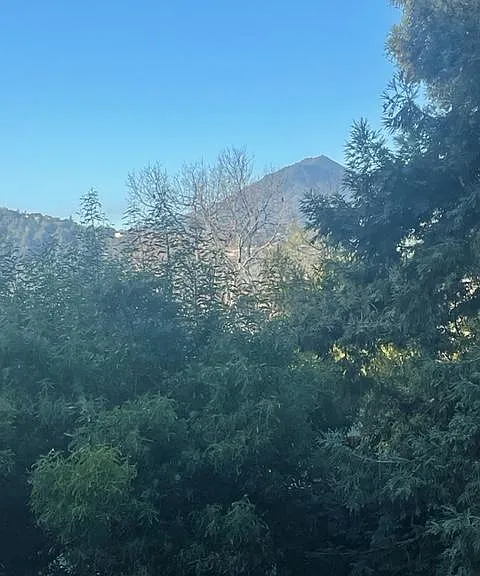 Mt tam view