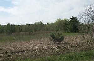 Land 3