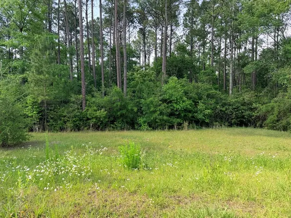Nhn Moss Cir, Carriere, MS 39426