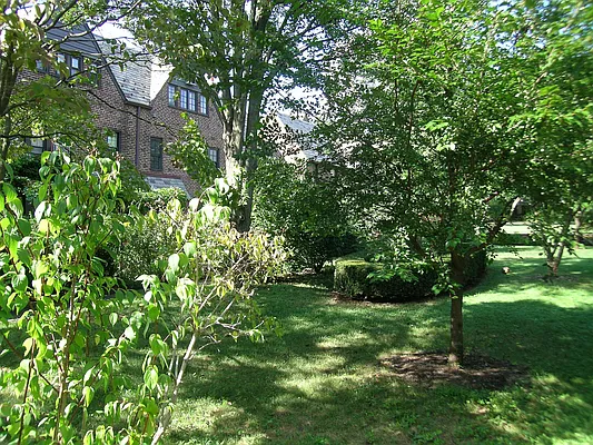 Sold by The Coop Connection LLC | media 90