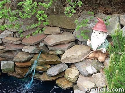 Rock Garden