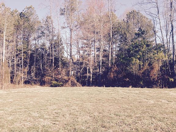 Woody back yard_04012016