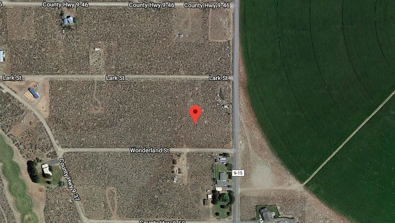 2nd image of Christmas Tree Rd