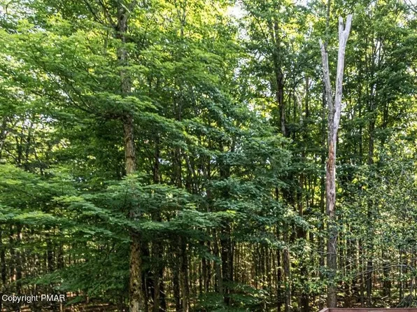 Lake View Ct, Pocono Lake, PA 18347