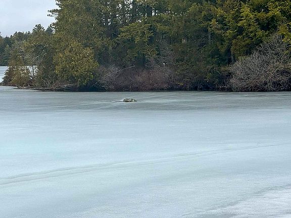 3rd image of X Smith Cove Road