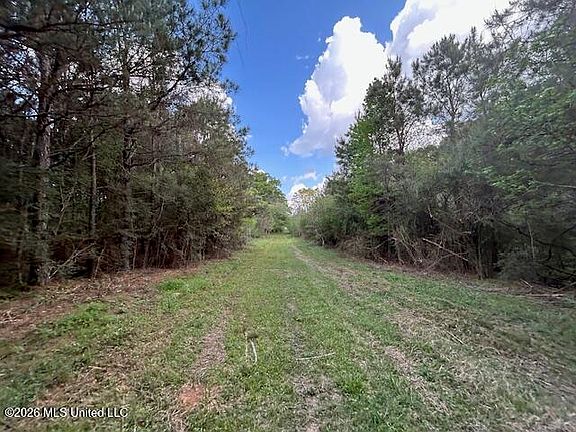 4th image of Vaniel Holmes Rd