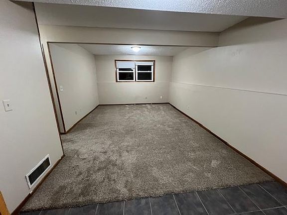 Basement Living Room