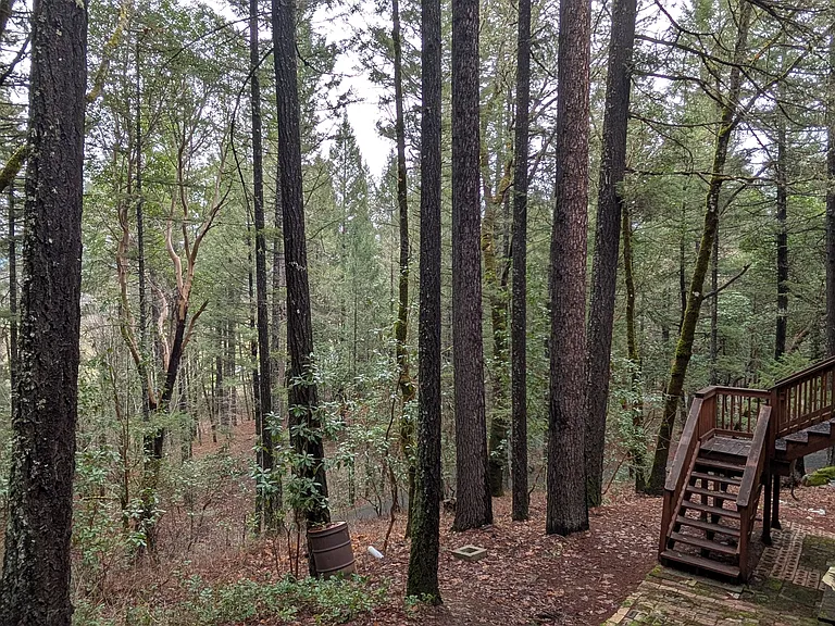 7312 E Evans Creek Rd — Photo 37