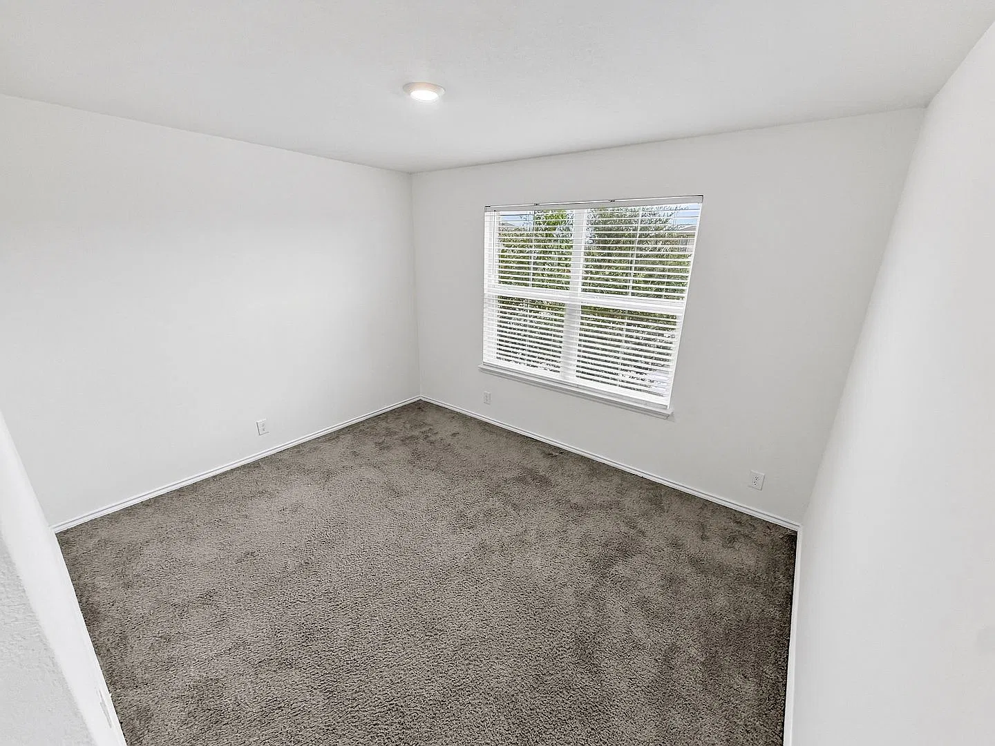 Move in Ready — Photo 4