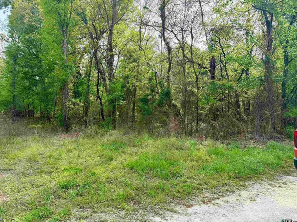 County Road 4131, Mount Vernon, TX 75457