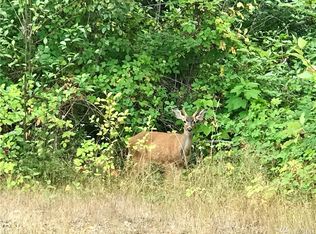 34503 Thomas Rd E, Eatonville, WA 98328