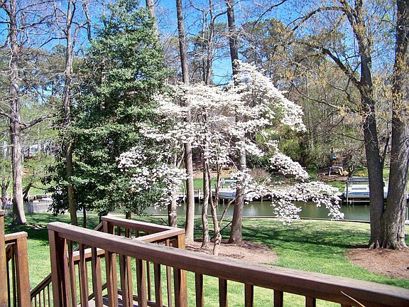Trees back yard.