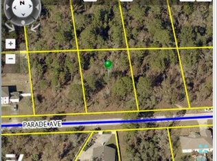 13009 Parade Ave, Brooksville, FL 34614