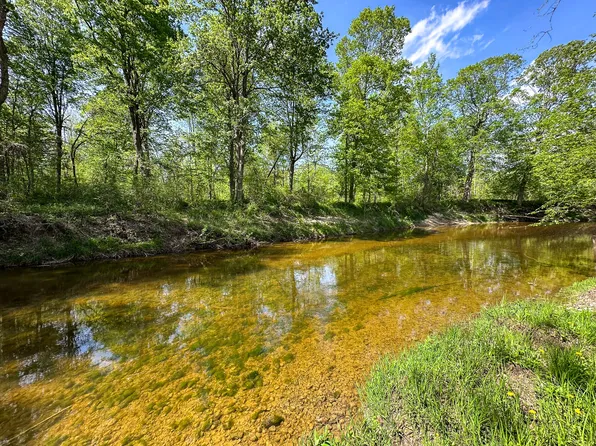 88-V/L N Bush Rd, Coleman, MI 48618