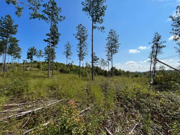 440 Prigmore Ridge Rd, Decatur, TN 37322