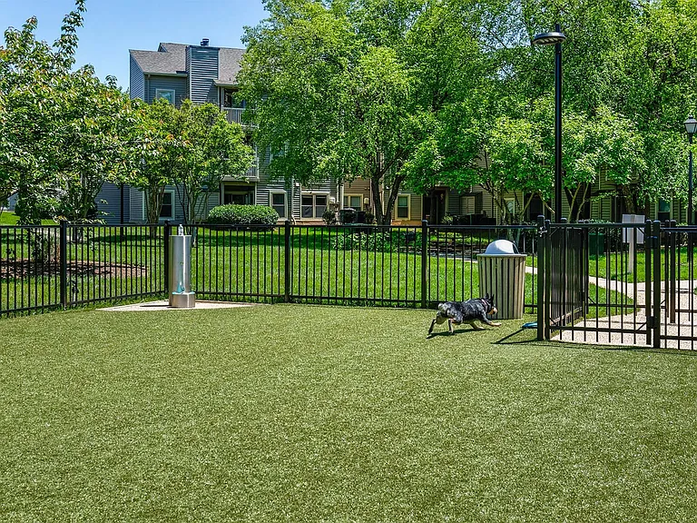Bench seating and waste stations located throughout dog park