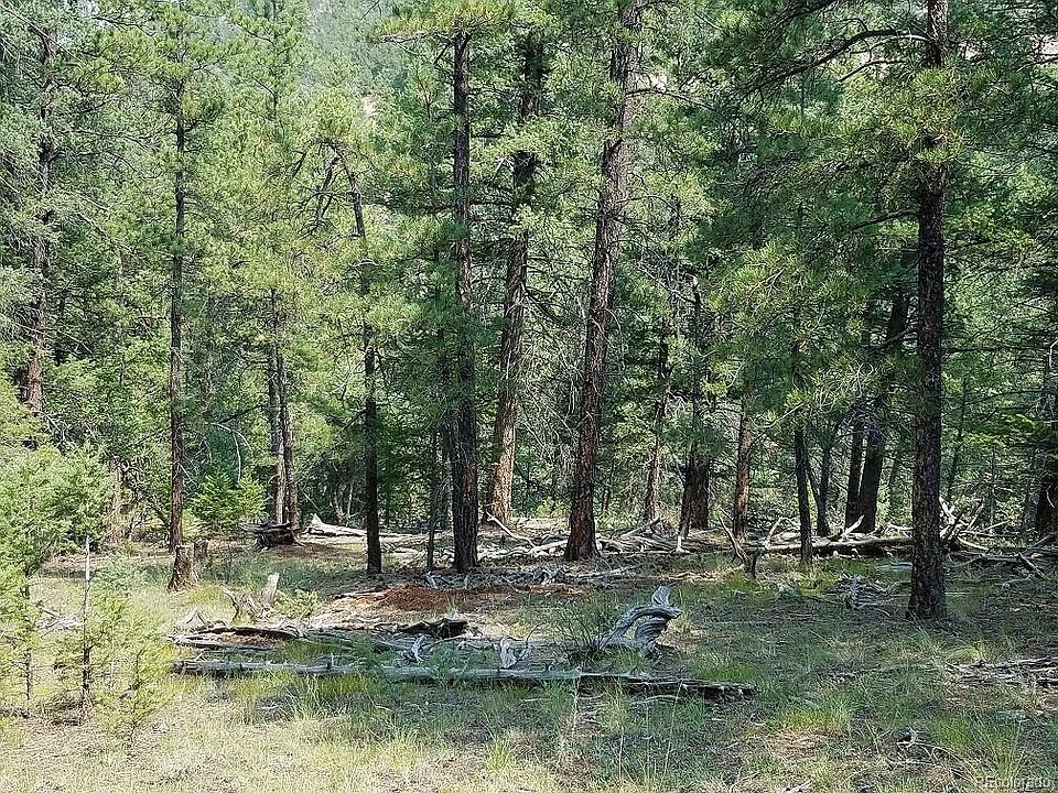 2nd image of 306 S Pine Vista