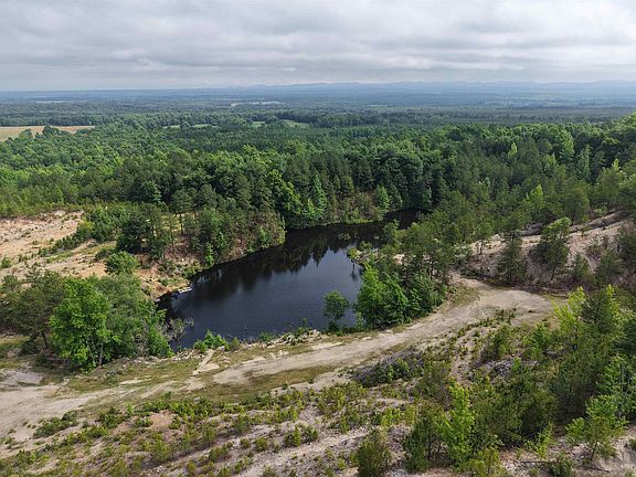 5th image of Polk Rd #482