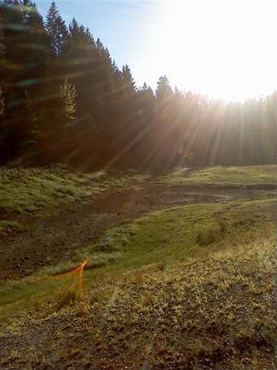 1st image of 351 NE Tahuya Blvd